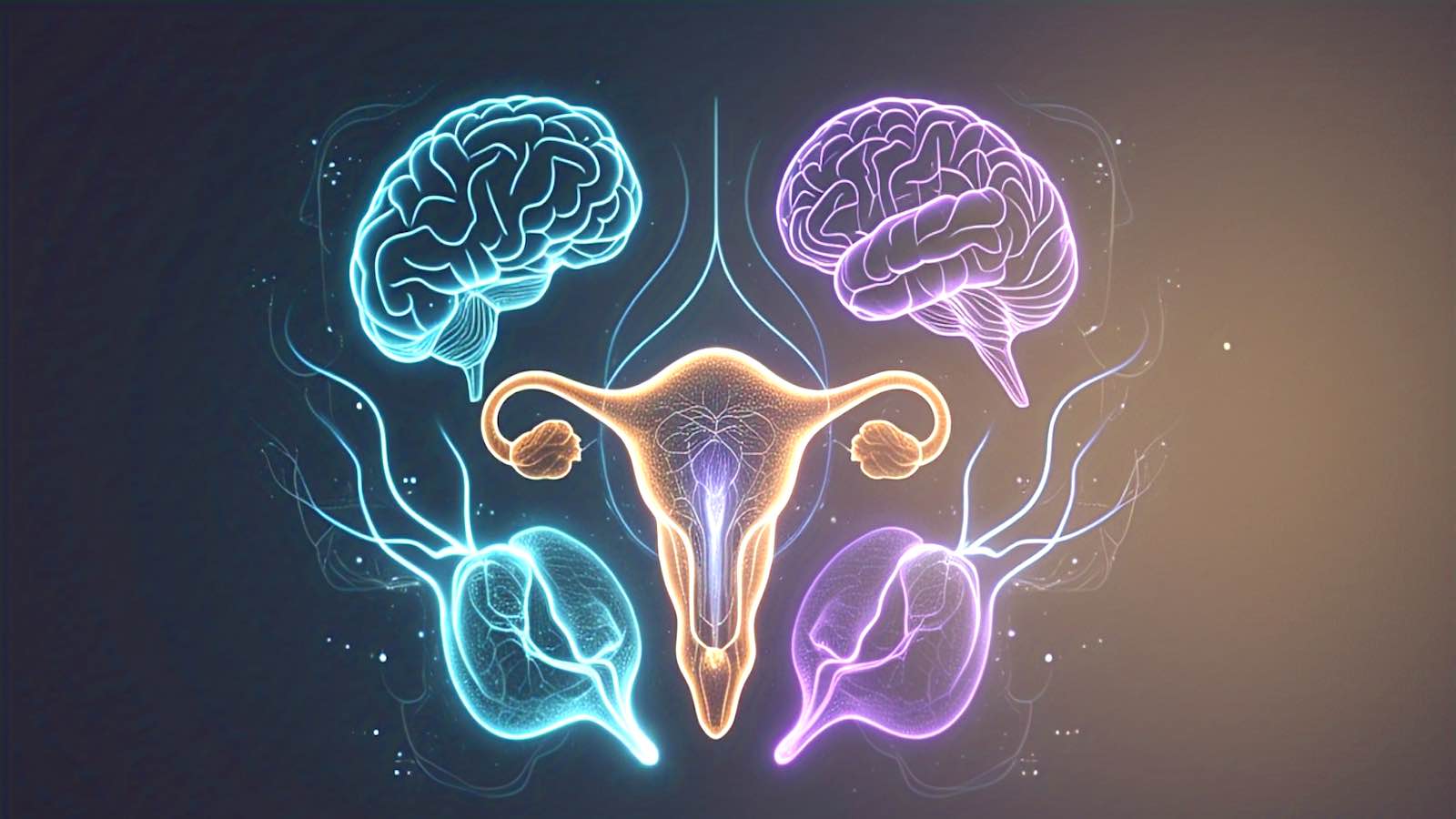 Gynécologue Obstetricien - Dr Mounia Alaoui Tahiri - Image - Publications - Conseils et Actualité - La santé reproductive et la fertilité - Comprendre l’ovulation et la conception